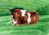 Mares and Foals, Equine Art - Out Cold Paint